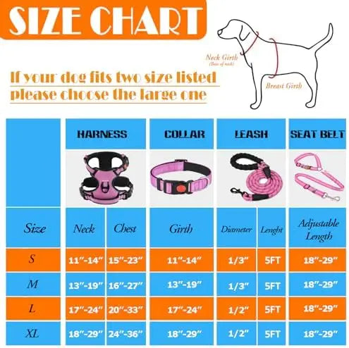 YTYIN No Pull Dog Harness Collar And Leash Training Kit