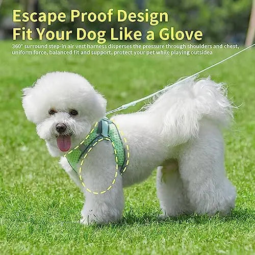 YTYIN Ultra Thin Breathable Harness for Small Dogs and Cats