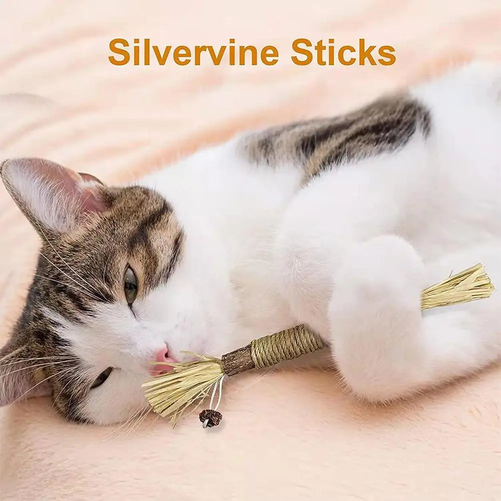 Natural Cat Chew Stick With Catnip For Teeth Cleaning