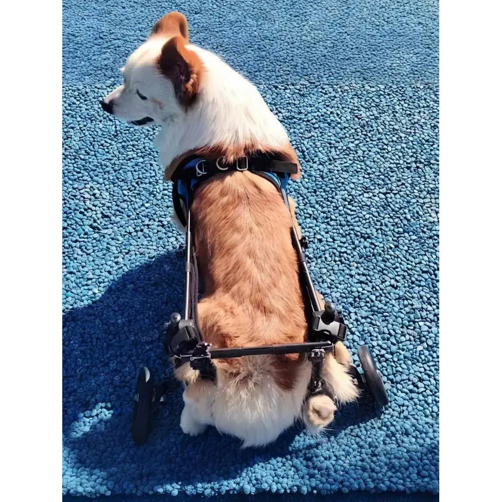 XMSJ Adjustable Lightweight Dog Wheelchair With Rear Leg Support