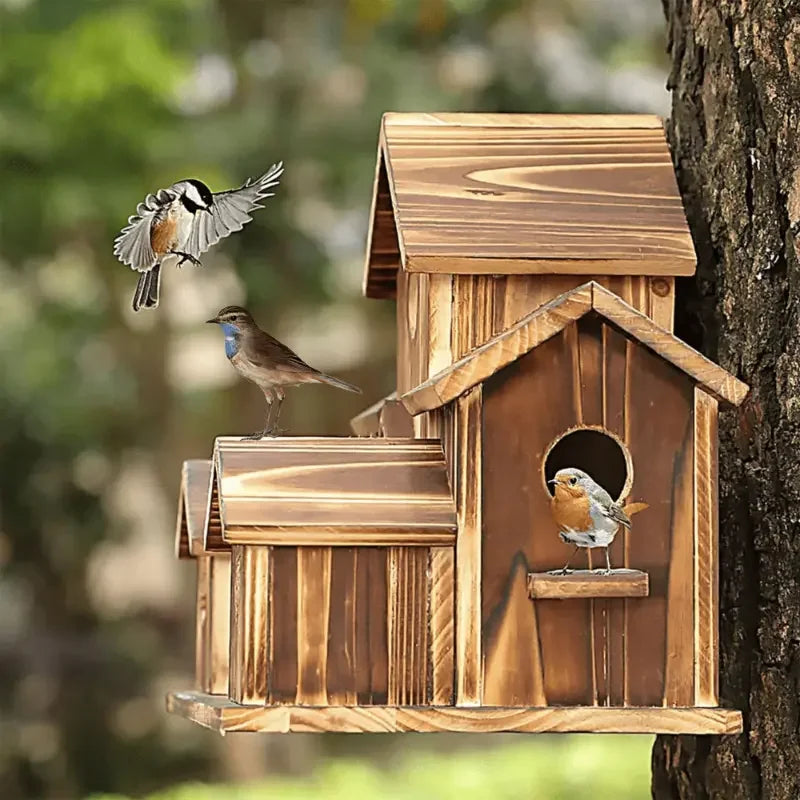 Zhejiang Bird House Natural Wood Hummingbird Cardinal