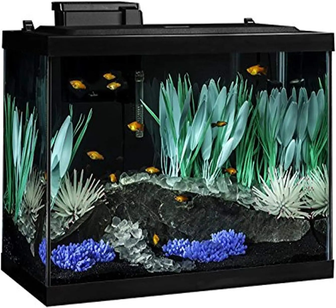 Aquarium Kit With LED Lighting And Decor Complete Fish Tank Setup