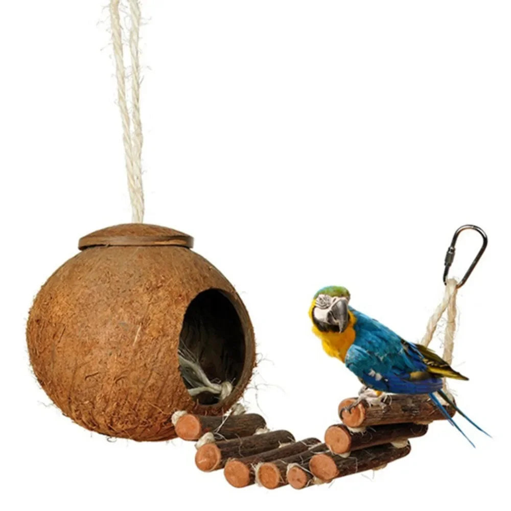 Guangdong Coconut Shell Bird Nesting House With Ladder