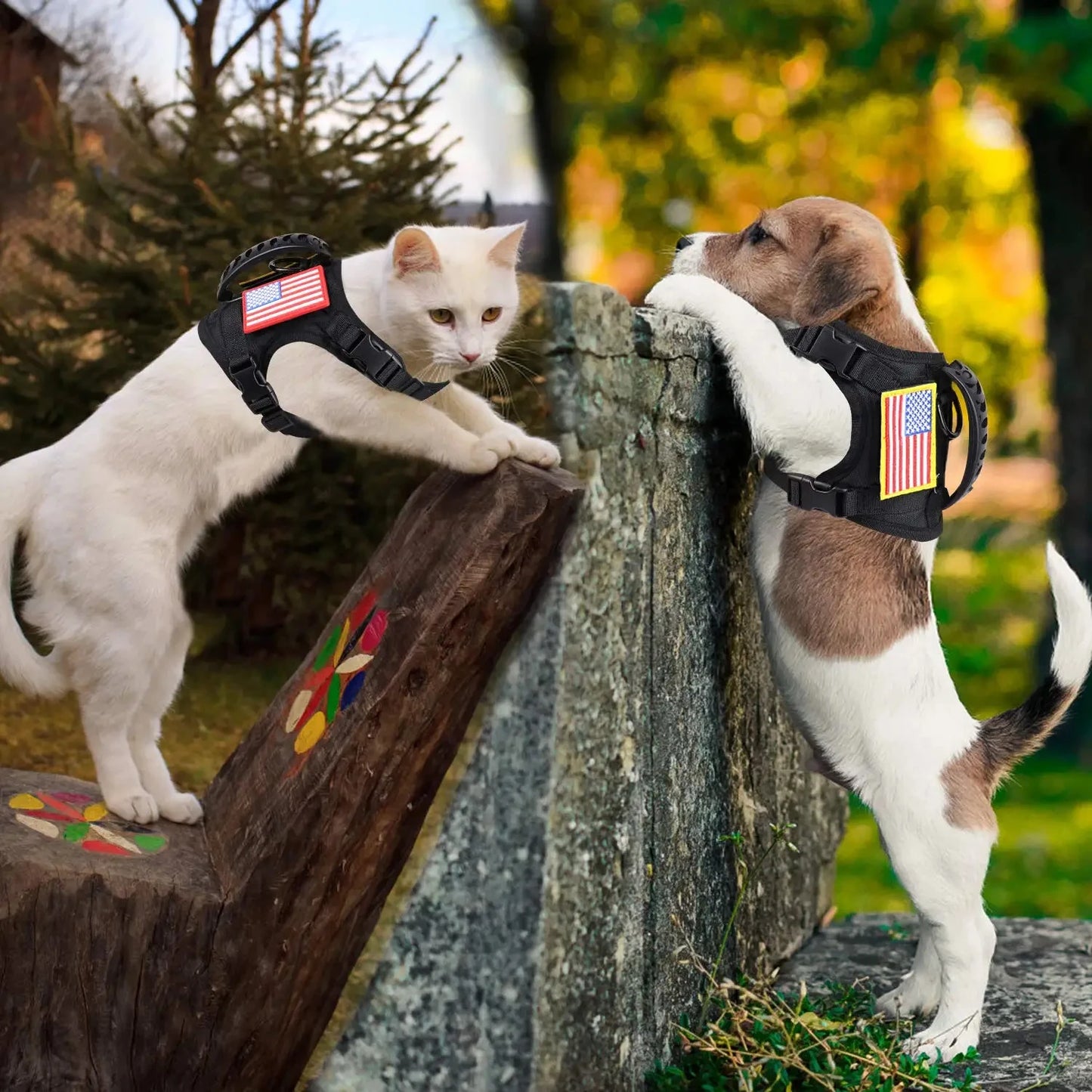Tactical Puppy Harness Leash Set For Small Dogs Training Kit