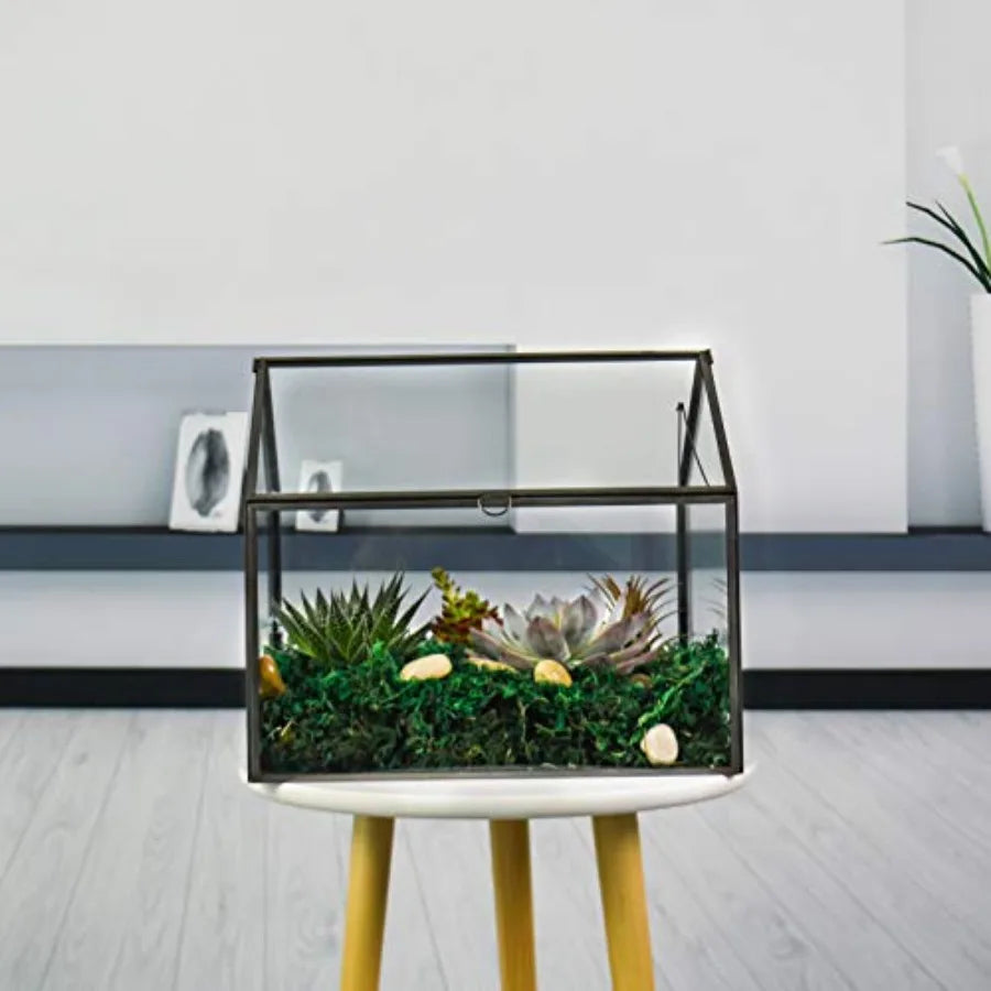 Glass Plant Terrarium For Indoor Succulents With Base