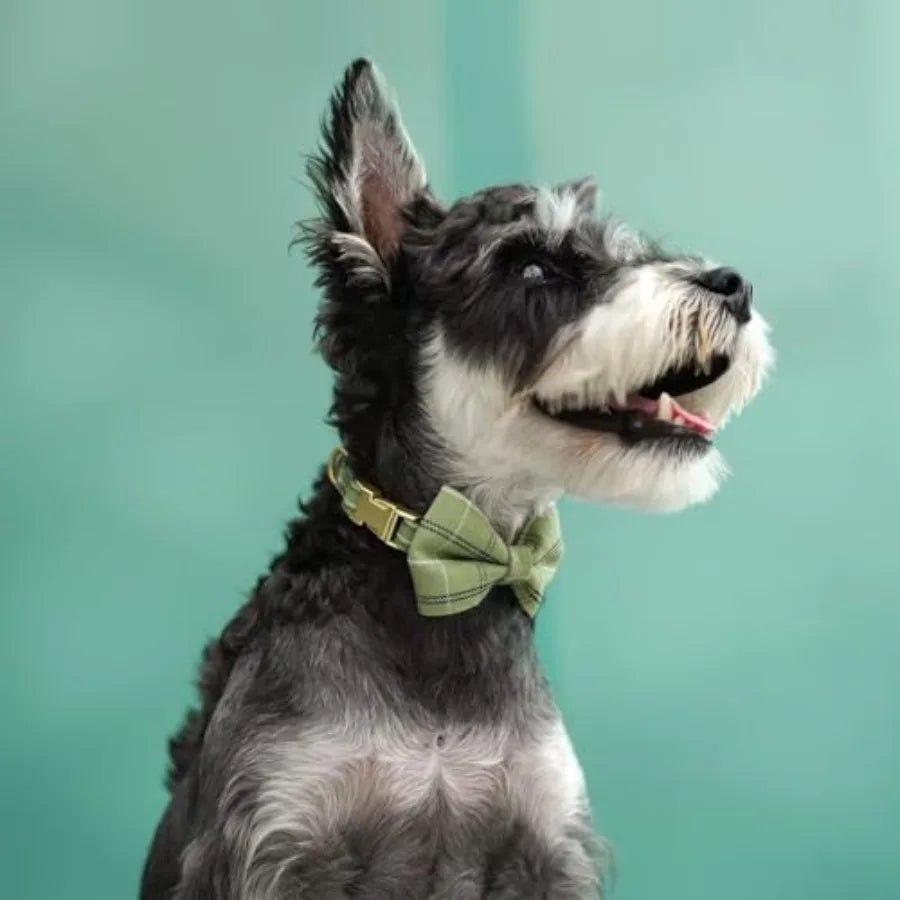 Dog Harness Collar And Leash Set With Bowtie For Pets