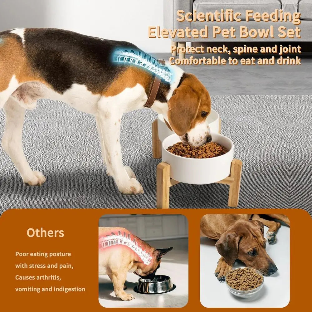 Raised Dog Bowls With Non Slip Bamboo Stand Double Feeding Bowls Set