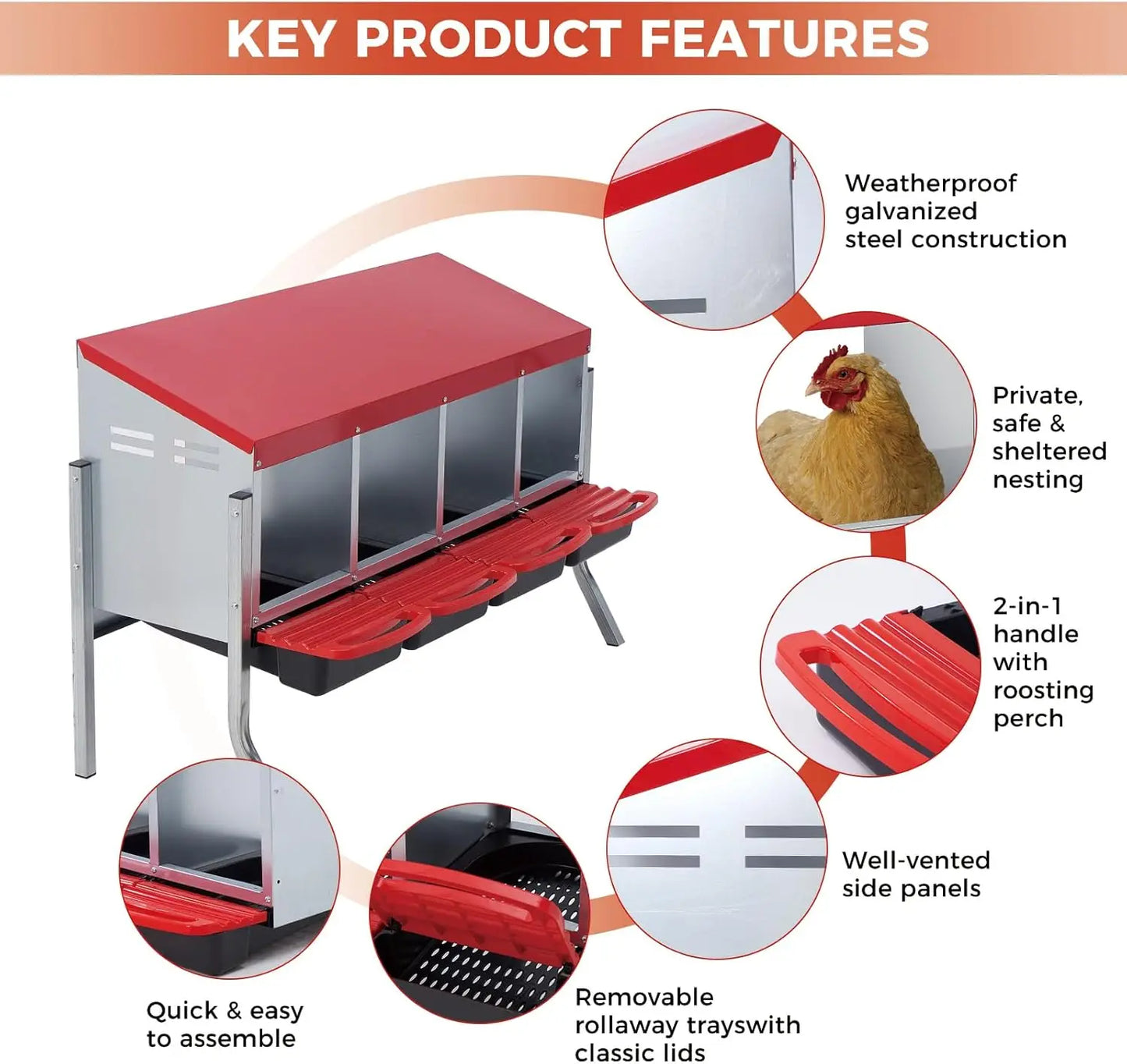 TWISTER.CK Automatic Egg Nesting Box Roll Out Collection For Hens And Ducks