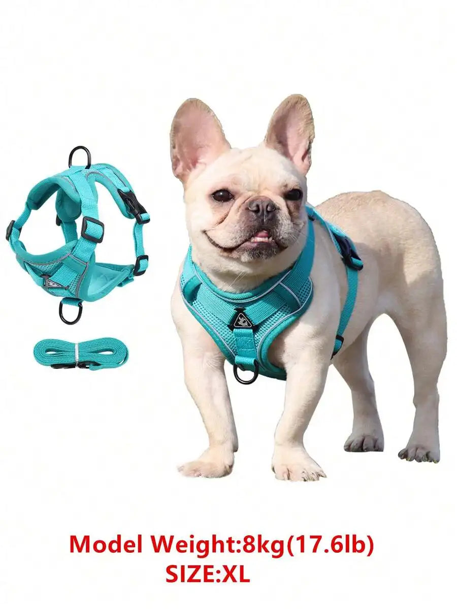 Reflective Pet Harness and Leash Set for Cats and Dogs
