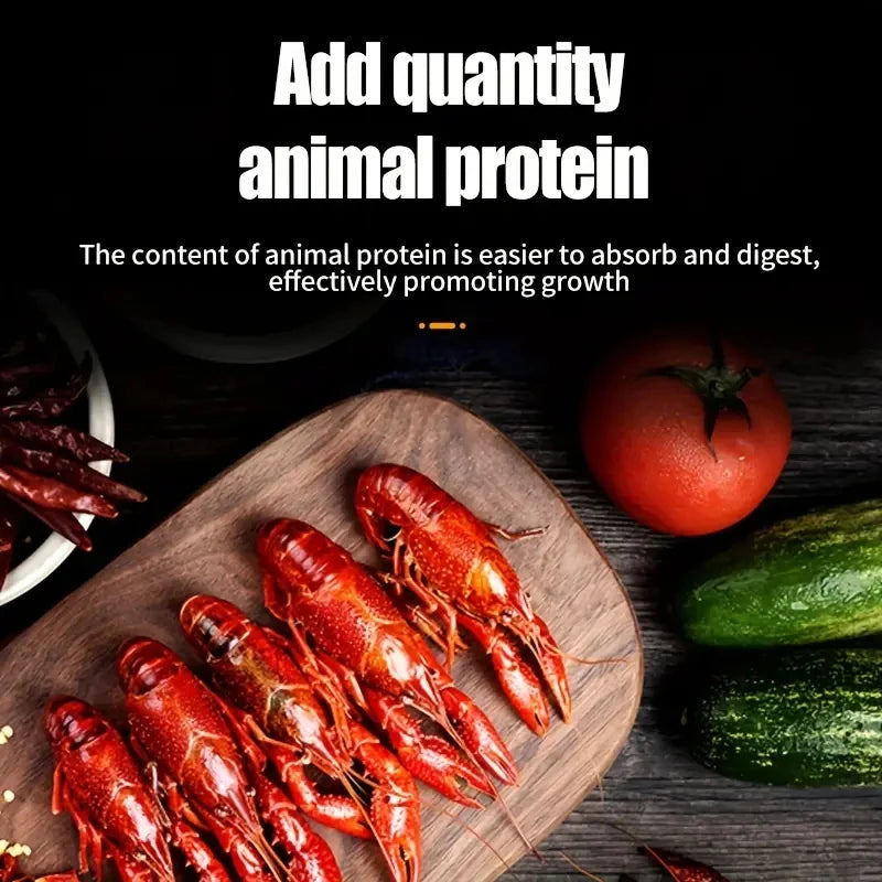 Hign-concerned Goldfish Pellets Balanced Diet For Aquarium