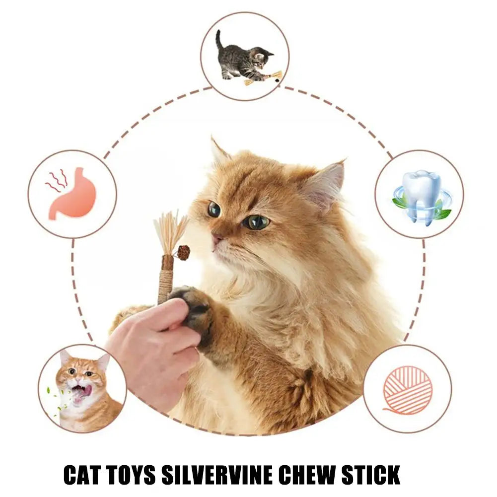 Natural Cat Chew Stick With Catnip For Teeth Cleaning