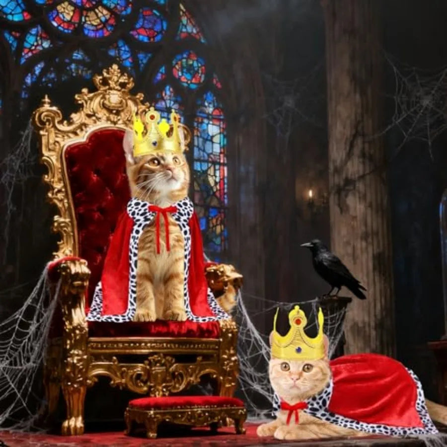 Cat King Costume With Velvet Cloak And Golden Crown Set