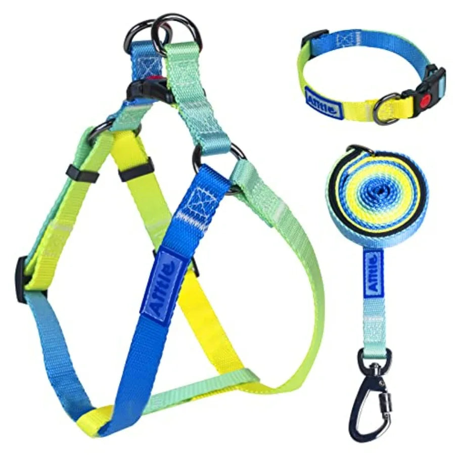 No Pull Dog Harness And Leash Set With Adjustable Collar