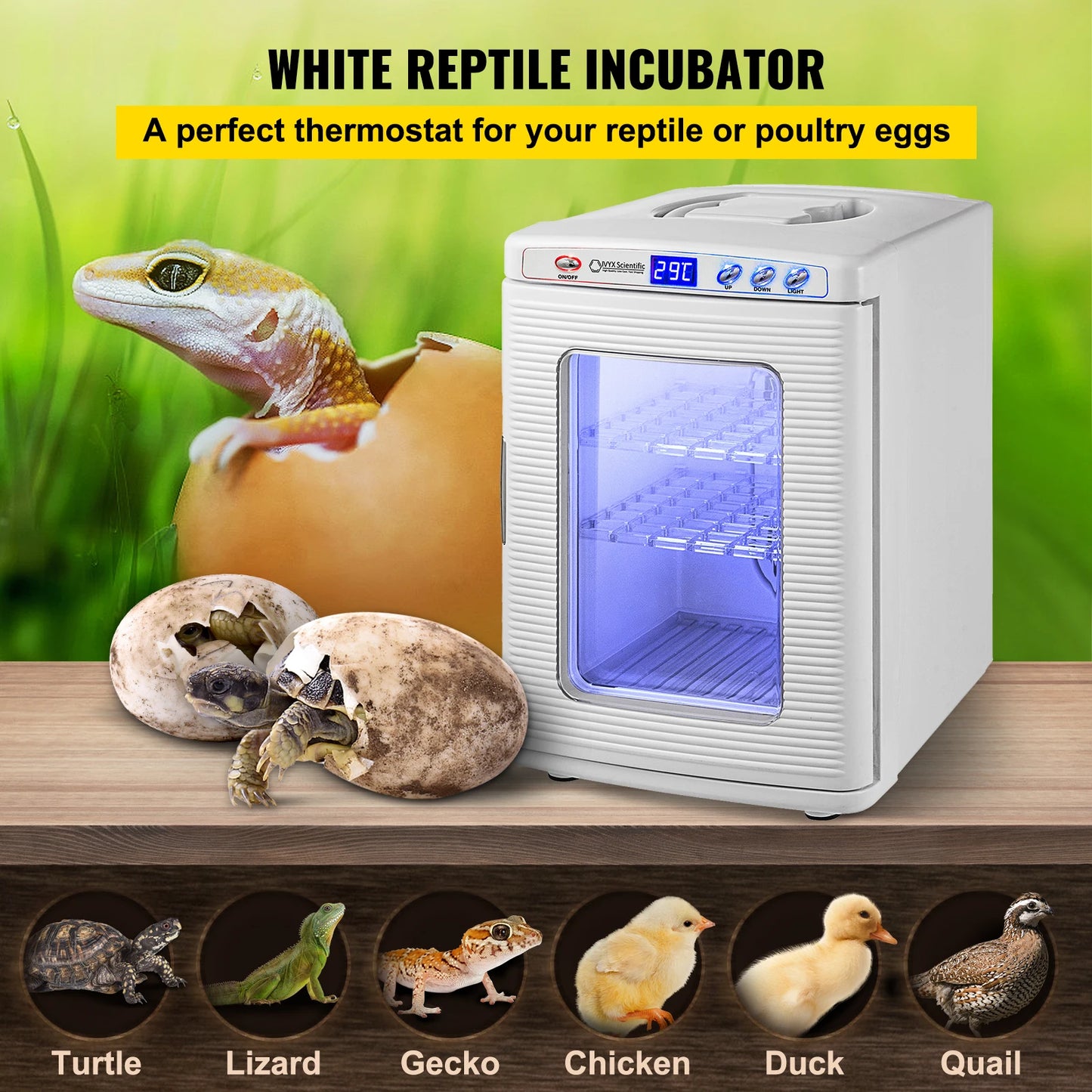 SucceBuy Reptile Incubator Automatic Egg Hatchery For Snakes And Turtles