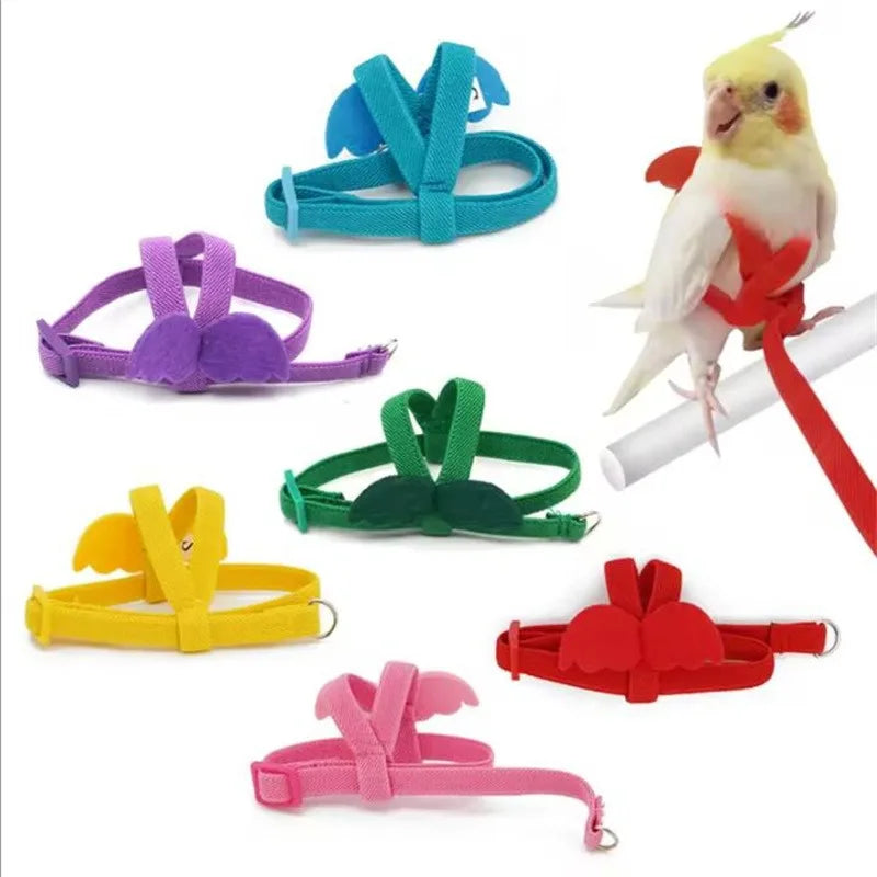 NONECN Parrot Harness Leash Set For Cockatiels Outdoor Flying