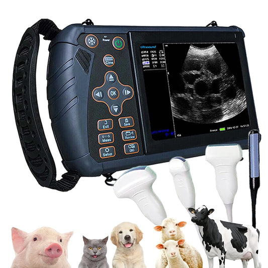 Dawei Portable Vet Ultrasound Scanner B Ultra Pregnancy