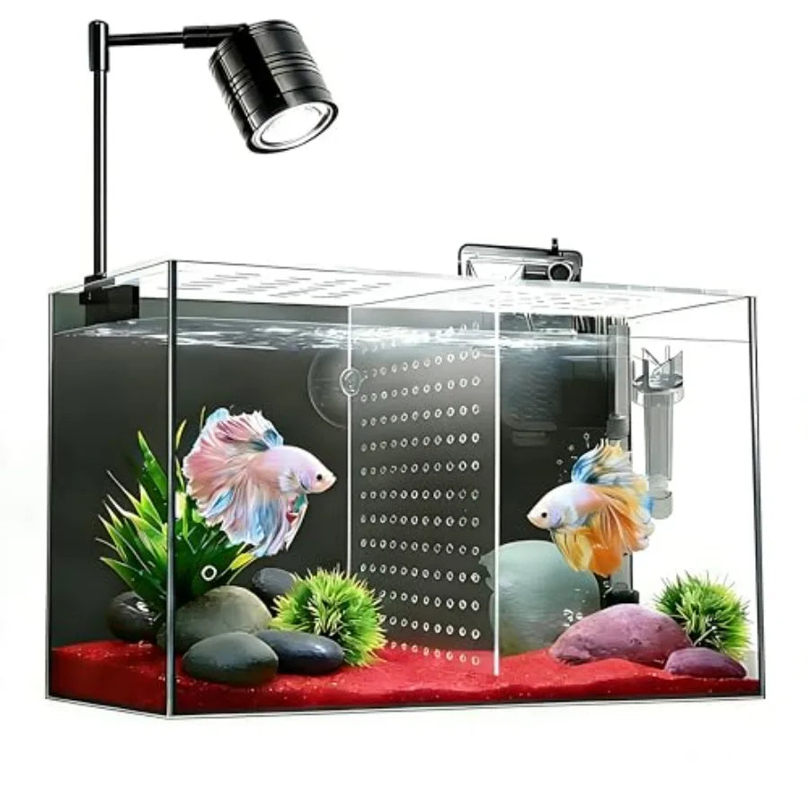 Fish Tank Aquarium Starter Kit With Filter And LED