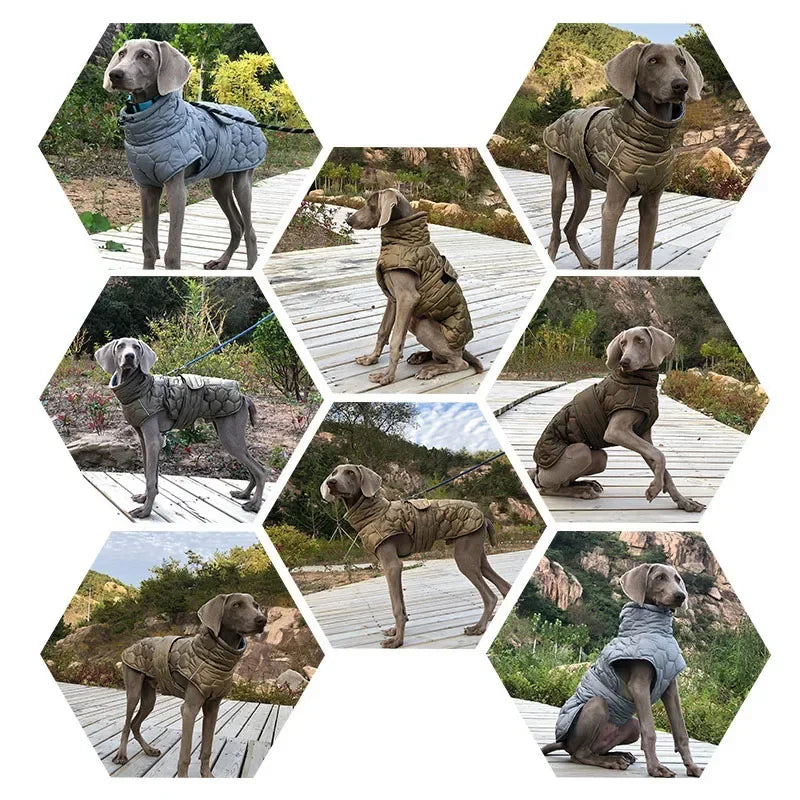 Winter Reflective Snowsuit for Dogs Waterproof Down Jacket