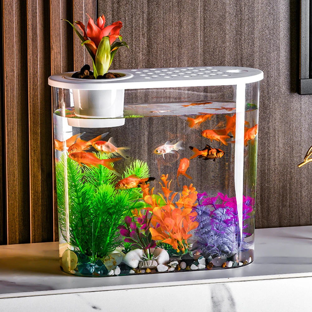 Alloet Plastic Clear Desktop Fish Bowl for Aquaponics and Hydroponics