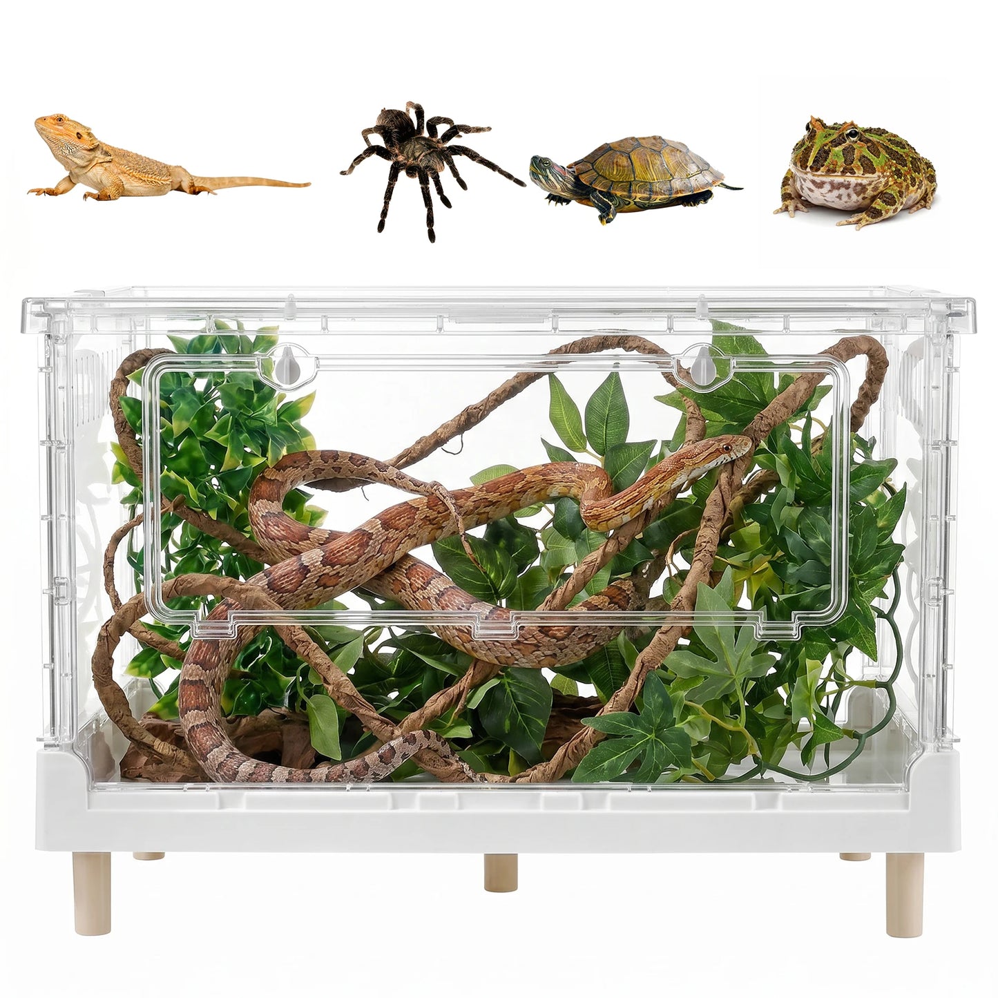 Foldable Reptile Terrarium With Front Opening Door Clear Ventilation Habitat