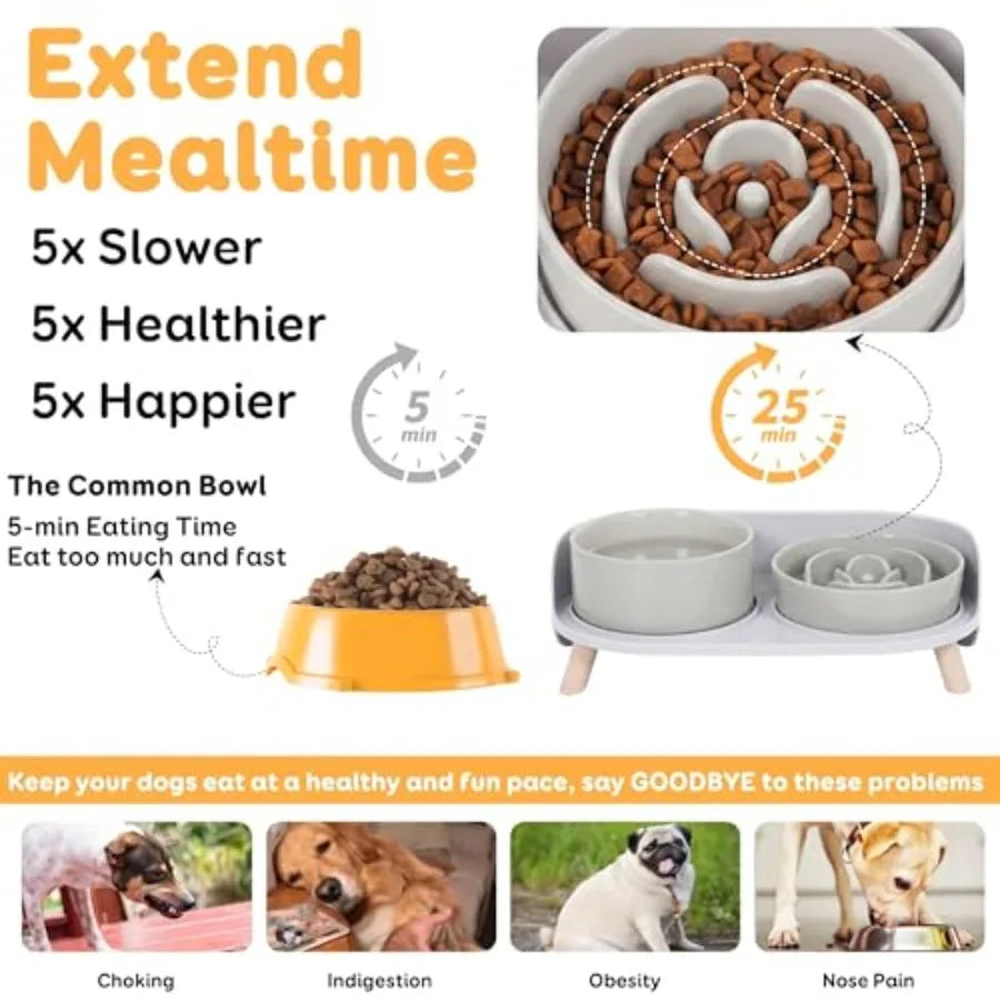 Elevated Slow Feeder Dog Bowls With Stand For Small Dogs