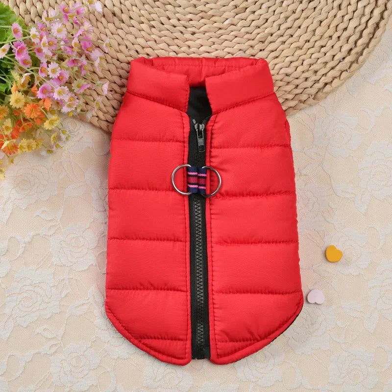 Winter Warm Pet Coat For Small Dogs And Cats Padded Windproof Jacket