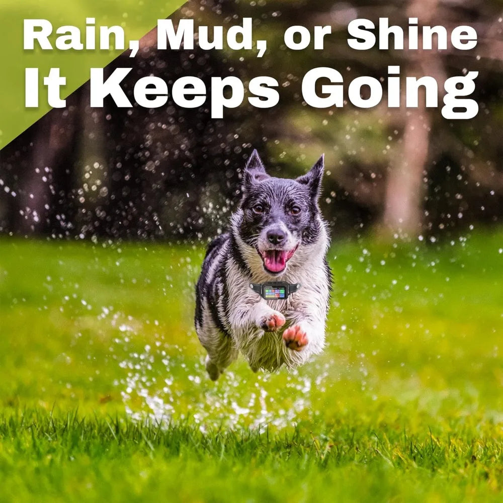 The Good Pet Company Customizable GlobalPositioningSystemApp Invisible Dog Fence Collar