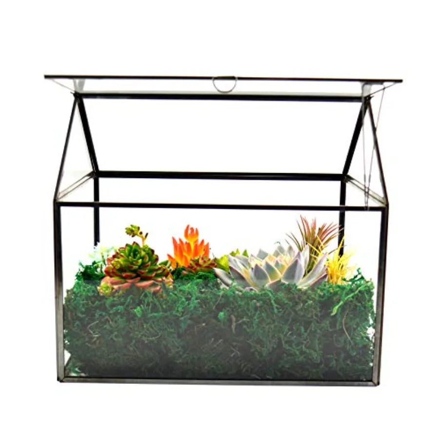 Glass Plant Terrarium For Indoor Succulents With Base