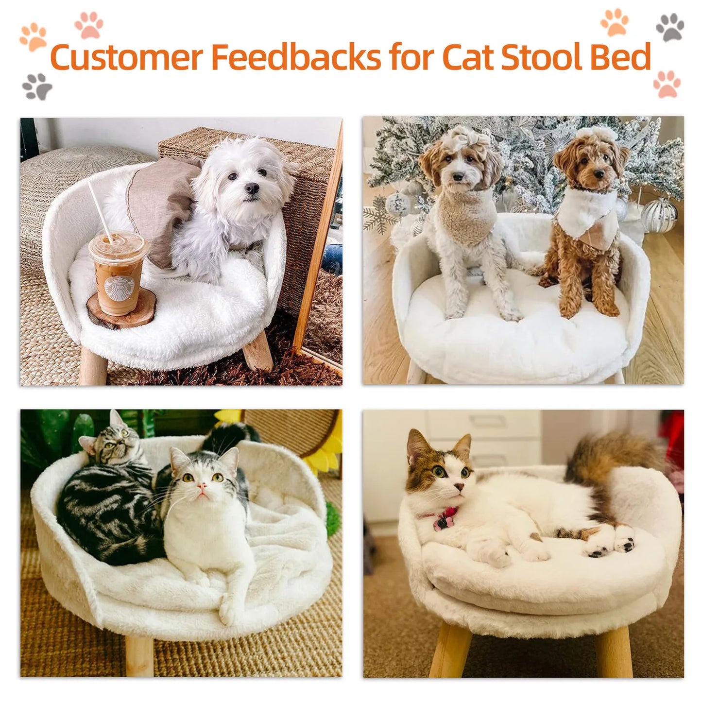 BINGOPAW Pet Sofa Bed Raised Cat Chair Removable Cushion