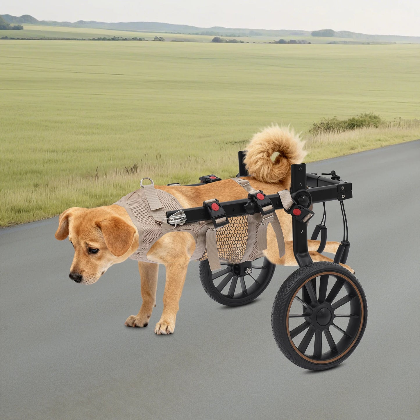 Bymaocar Adjustable Aluminum Dog Wheelchair Supports 65kg Hind Leg Support