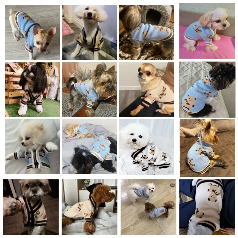 Striped Cardigan Dog Coat For Chihuahua And Bichon Frise