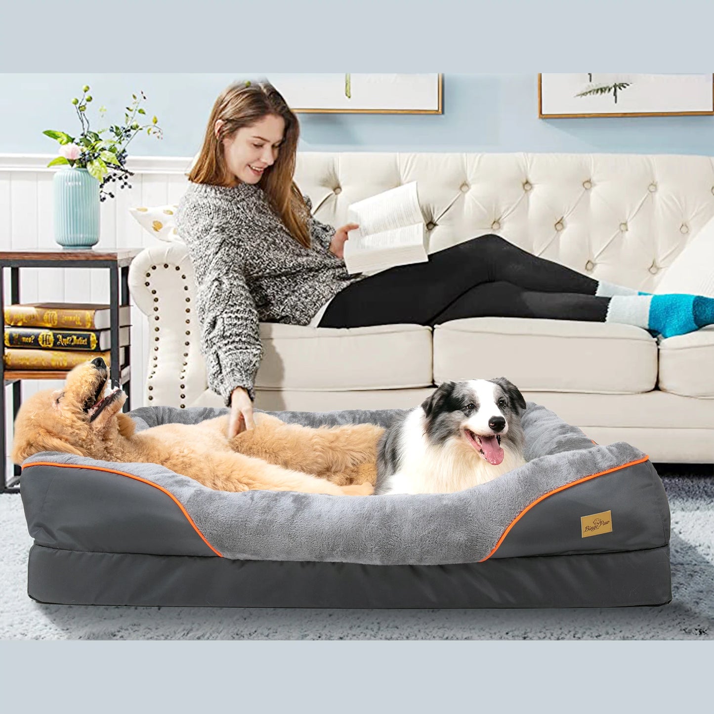 BINGOPAW Dog Bed Removable Washable Cover Anti Allergy Foam