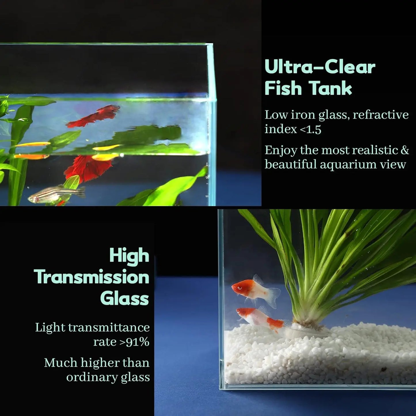 Ultra Clear Rimless Glass Aquarium With Cover Feeding Ring Cleaning Tools
