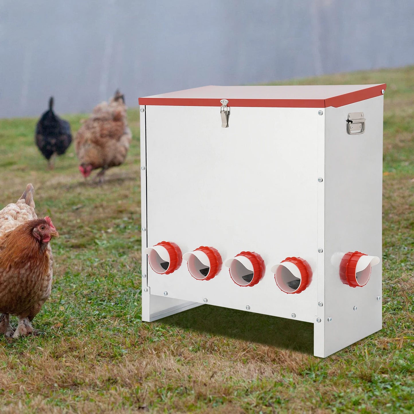 Farm Animals 10-Hole Capacity Poultry Feeder For Chickens