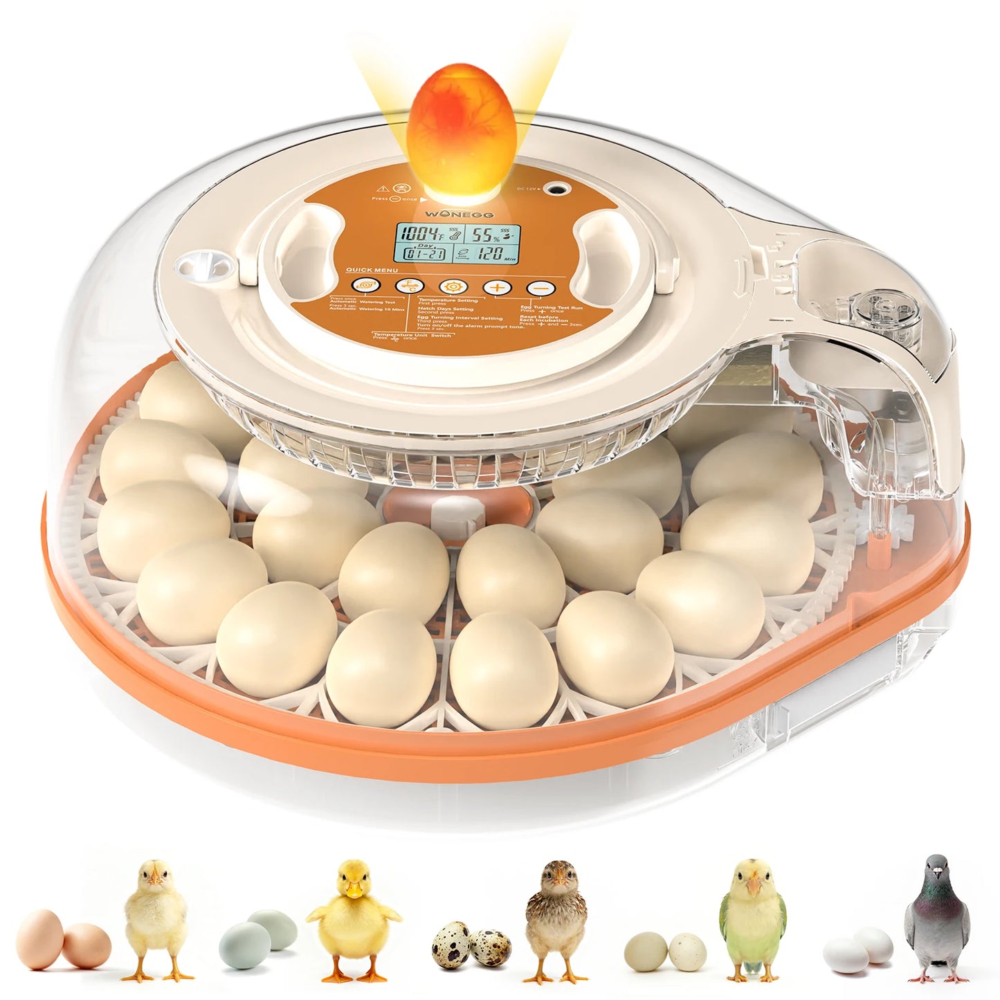 26 Egg Incubator With Automatic Turning Temperature Humidity Control LED Candler