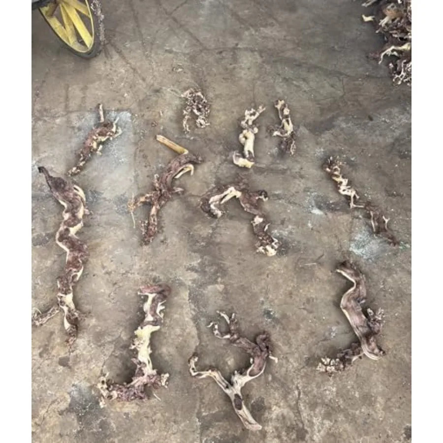 Hign-concerned Driftwood Aquarium Decor Natural Wood