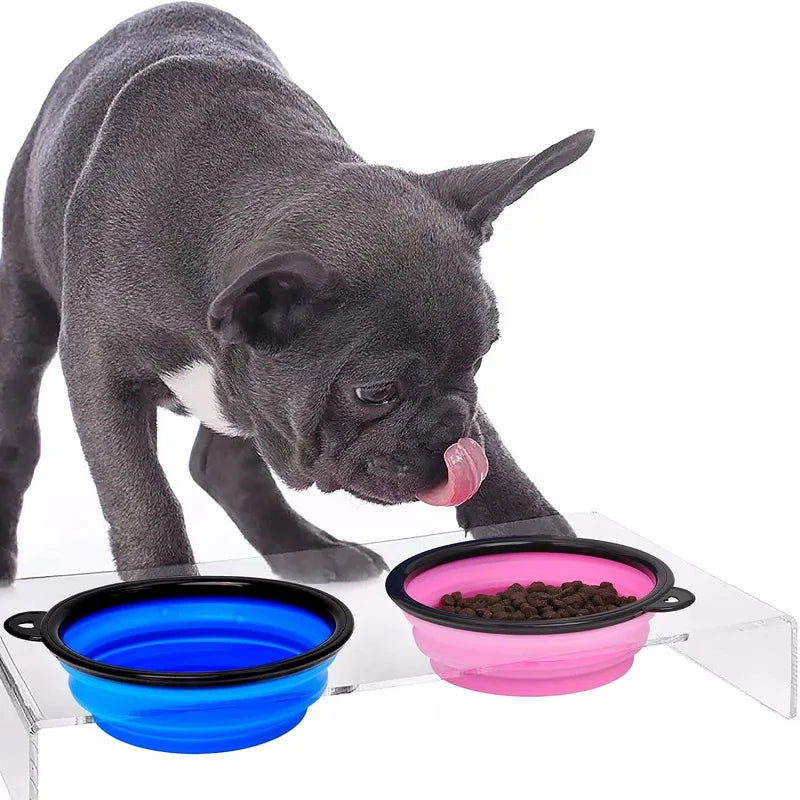 Foldable Portable Dog Feeder Bowl 2-In-1 Travel Dispenser With Carabiner