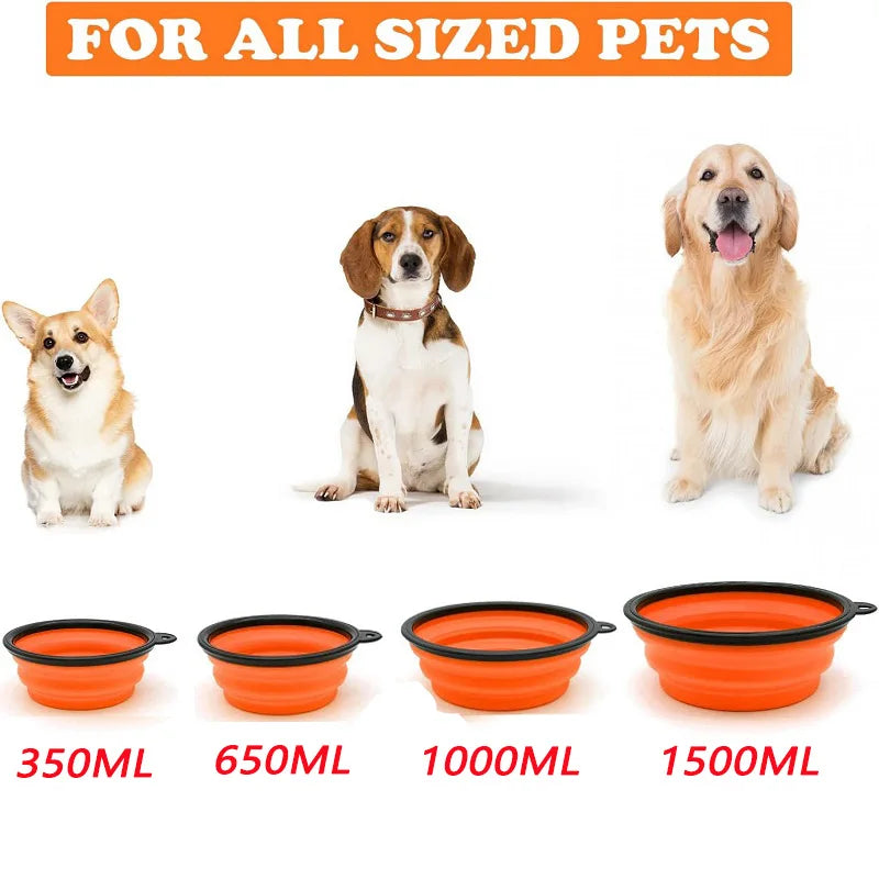 Foldable Portable Dog Feeder Bowl 2-In-1 Travel Dispenser With Carabiner
