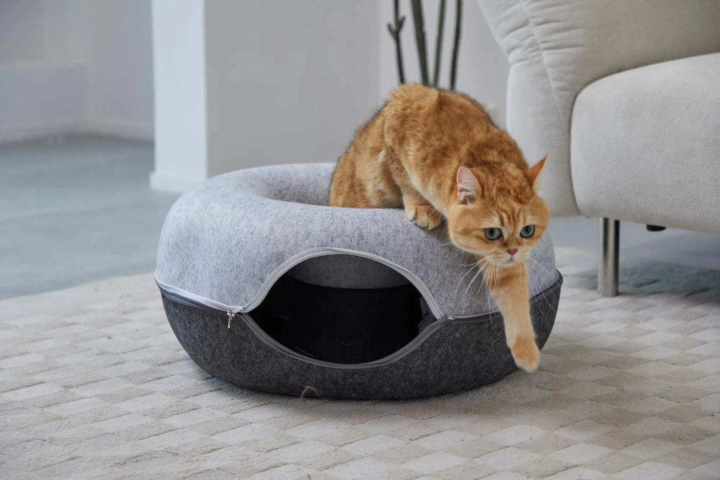 Is Smart Device Hexagon Cat Tunnel Bed For Multiple Cats Scratch Resistant Washable Felt