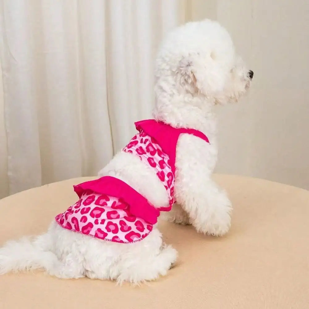 Lace Printed Camisole Dog Dress For Daily Wear And Photoshoots