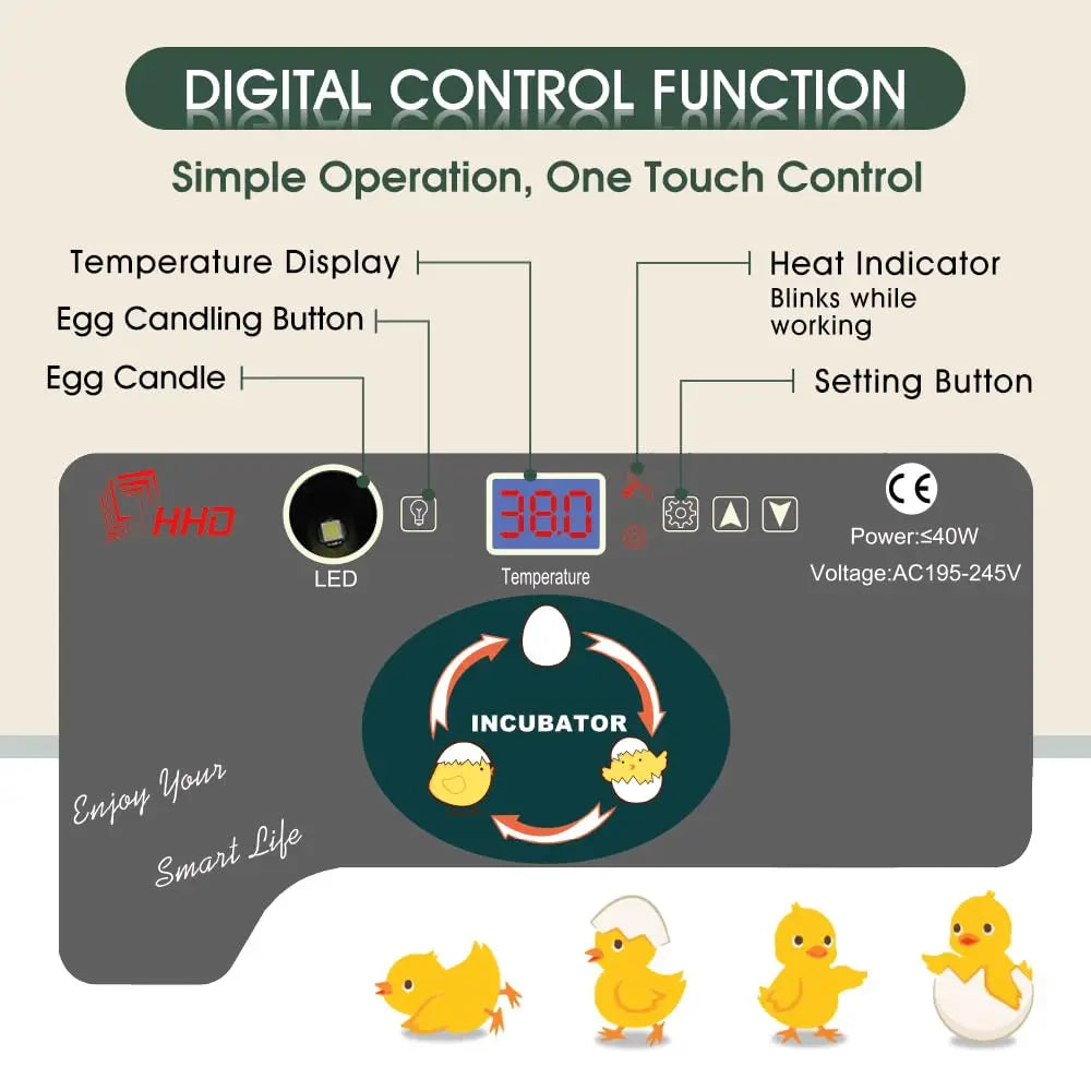 12 Egg Incubator With Automatic Turner And Temperature Control