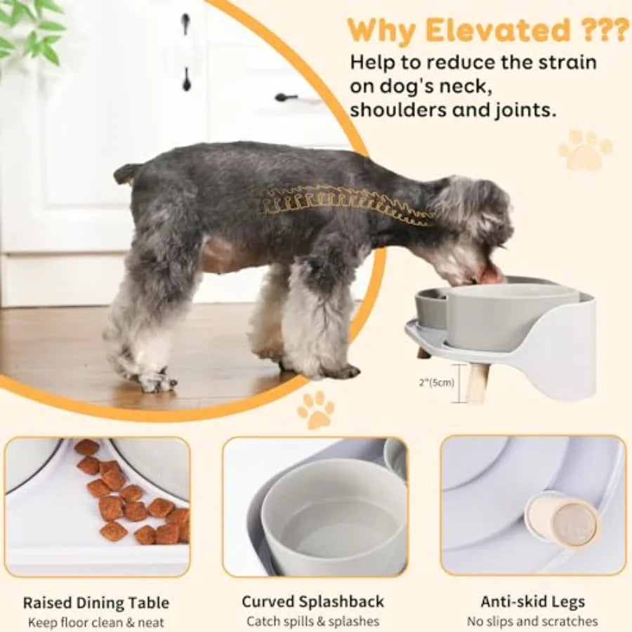 Elevated Slow Feeder Dog Bowls With Stand For Small Dogs