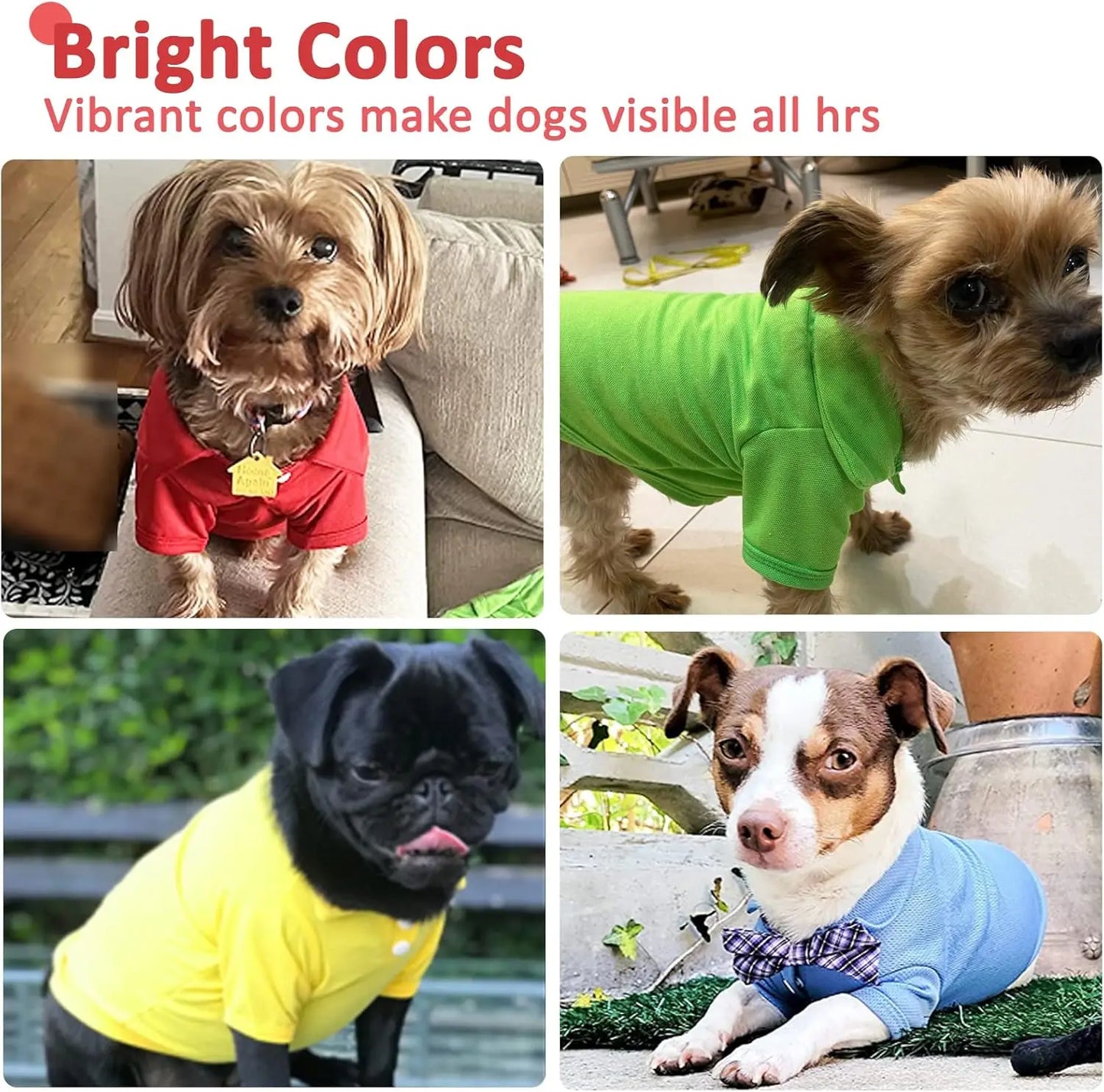 Zhejiang 4 Pack Collared Polo Dog Shirts Breathable Polo T Shirts for Small Medium Dogs and Cats