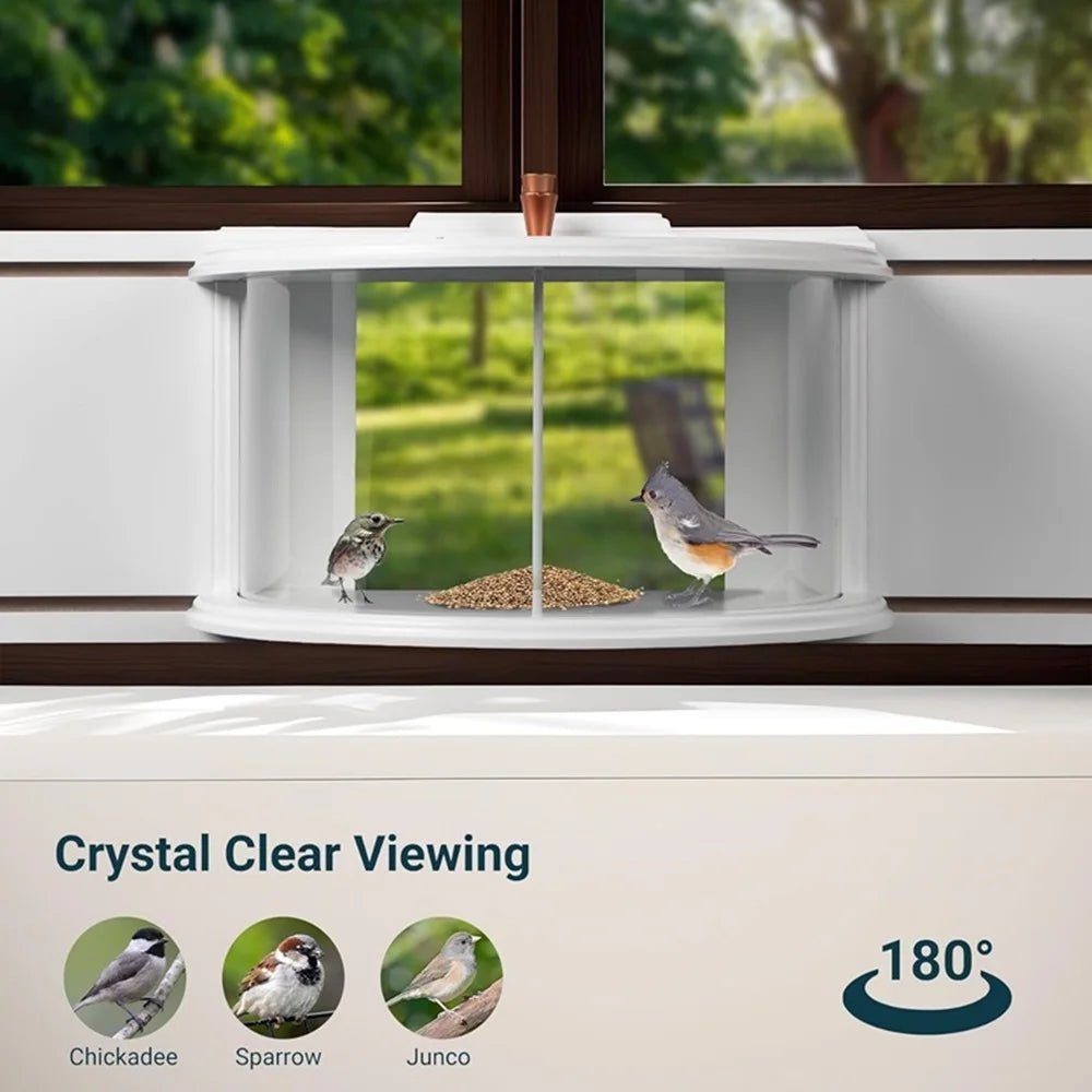 Window Bird Feeder With Clear View Tray Recessed Design