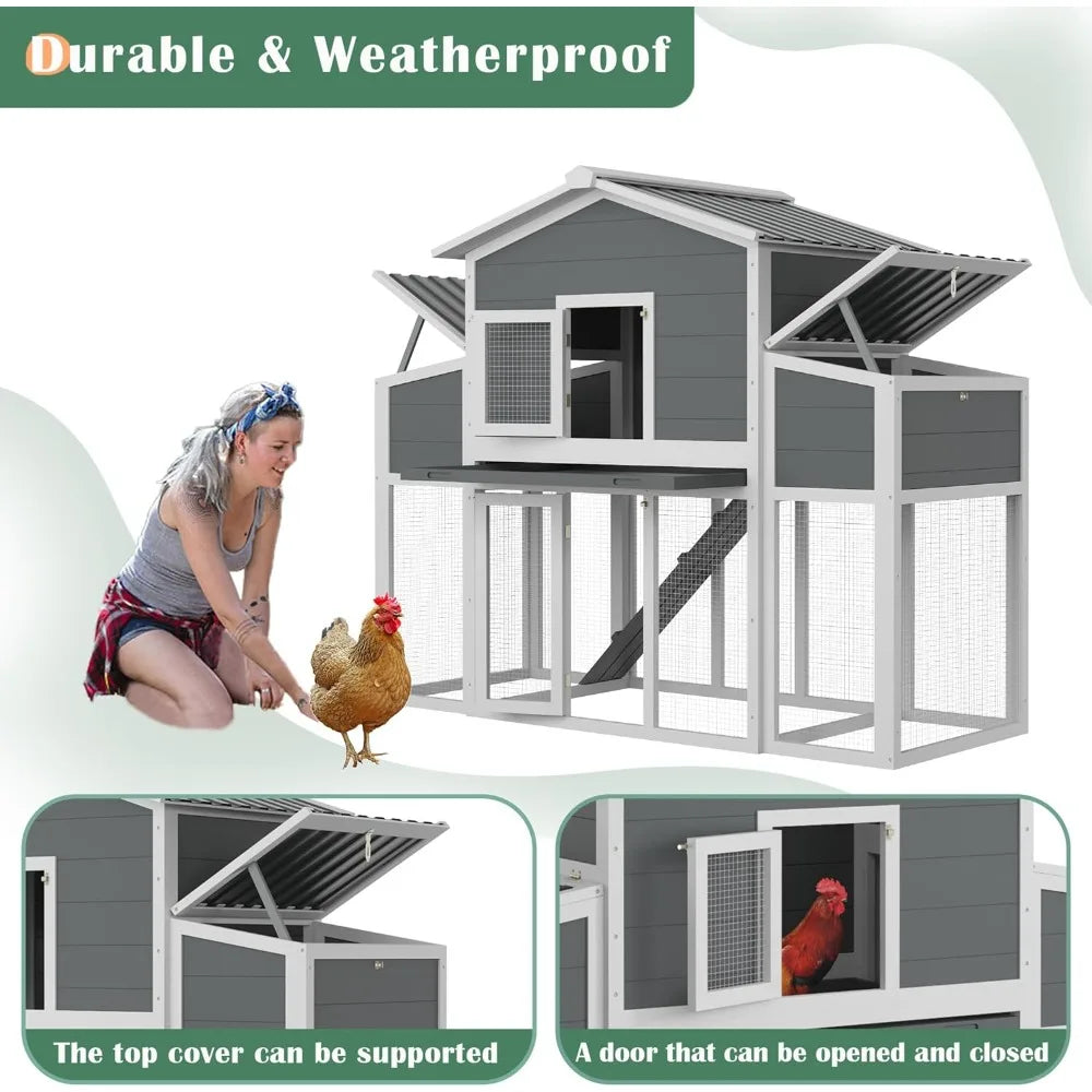Cedar Chicken Coop 2 To 6 Chickens With Nest Boxes