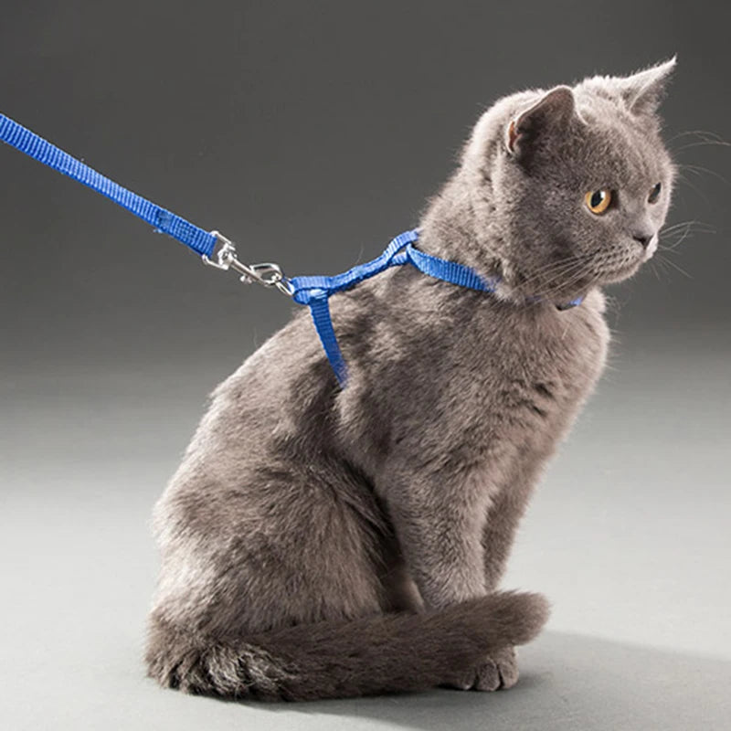 Adjustable Cat Collar Harness Leash Set Nylon For Cats
