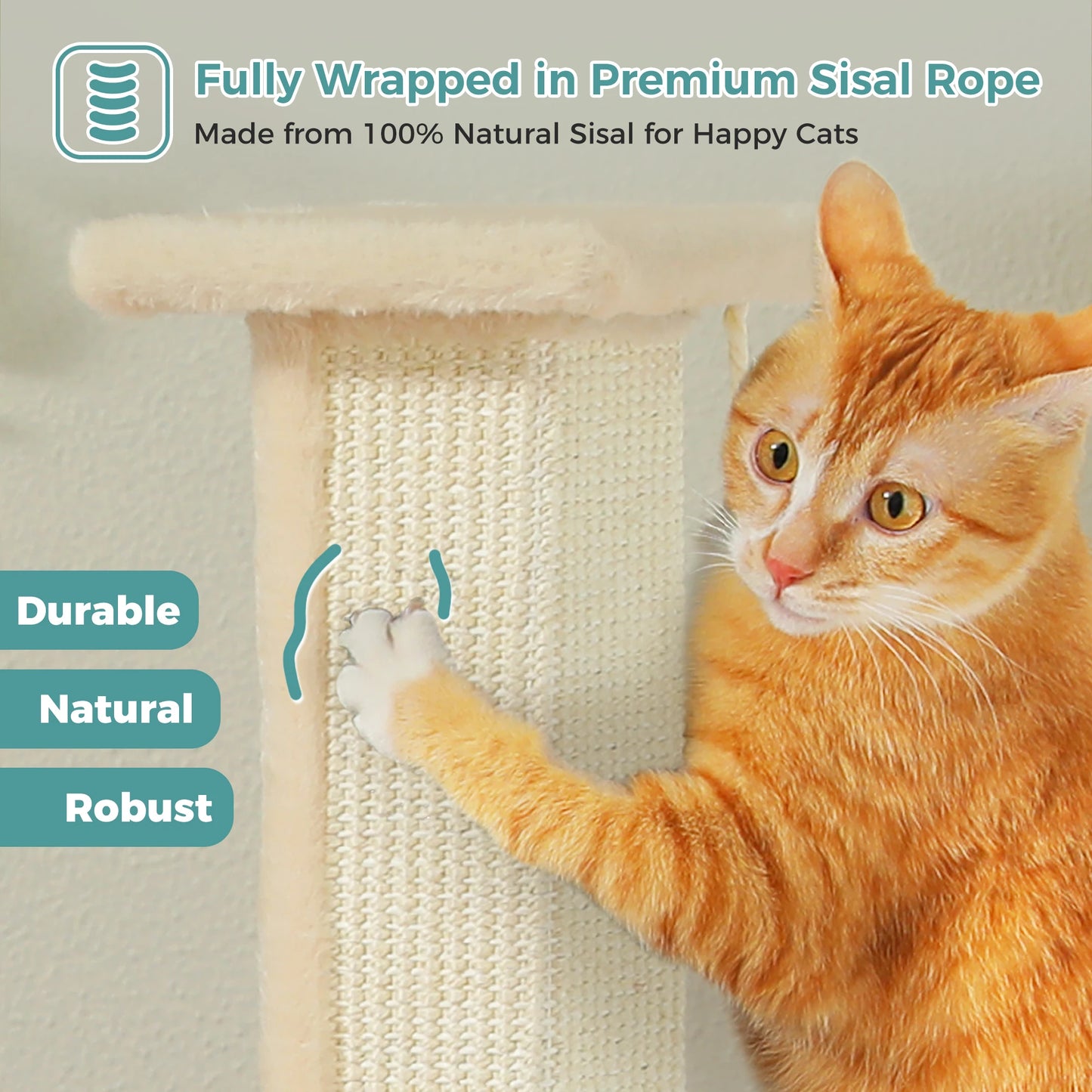 PAWZ Road Large Cat Scratching Post for Indoor Cats