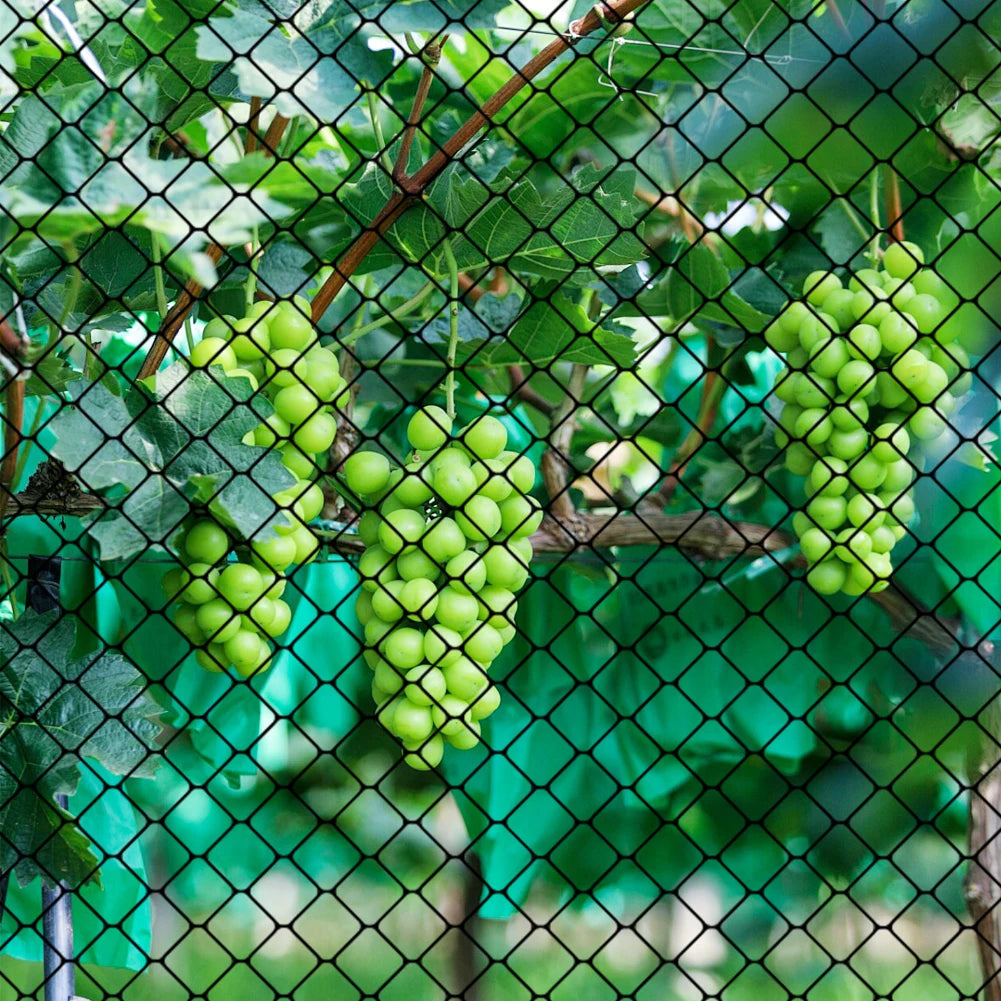 MOJOYCE Nylon Bird Netting Mesh Hawk Netting for Garden