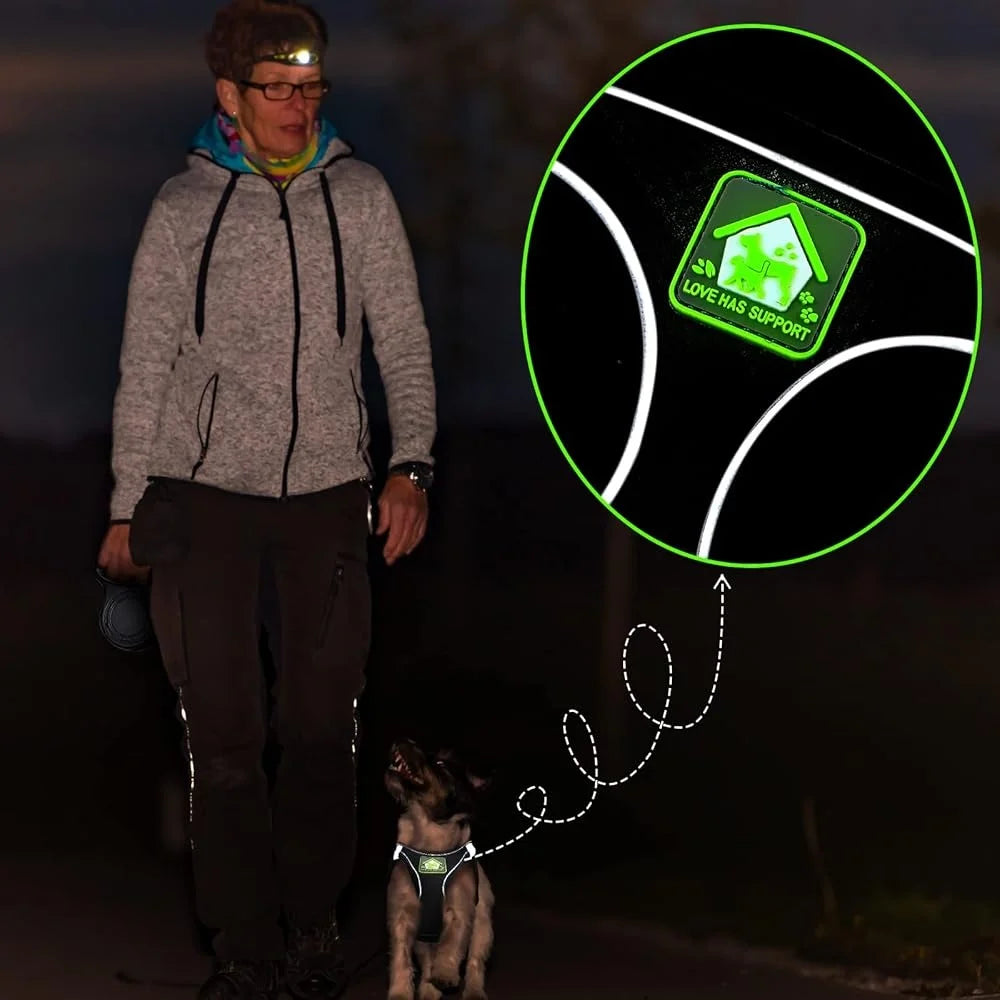 XMSJ 6 Pcs Dog Harness Set With Retractable Leashes Bowknot Collars Mesh Vest