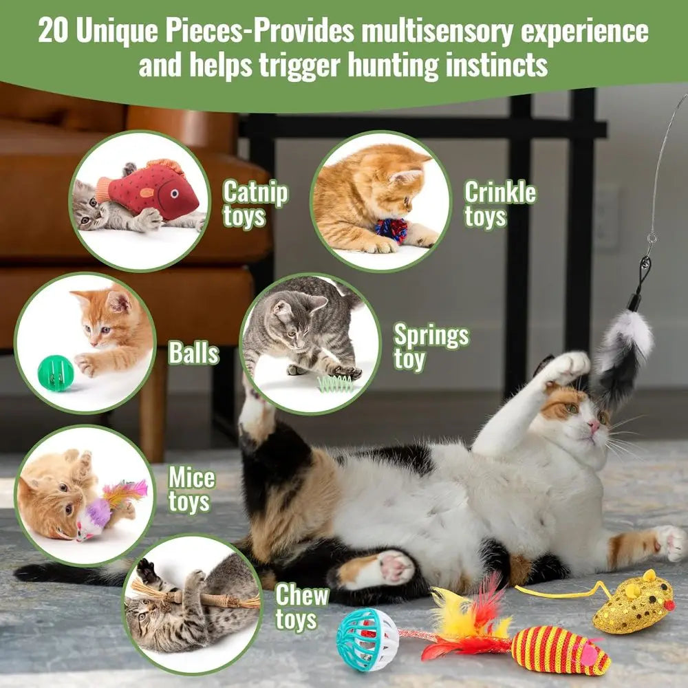 Talk Cat Toys Variety Pack 20 Pieces Assorted Interactive Toys